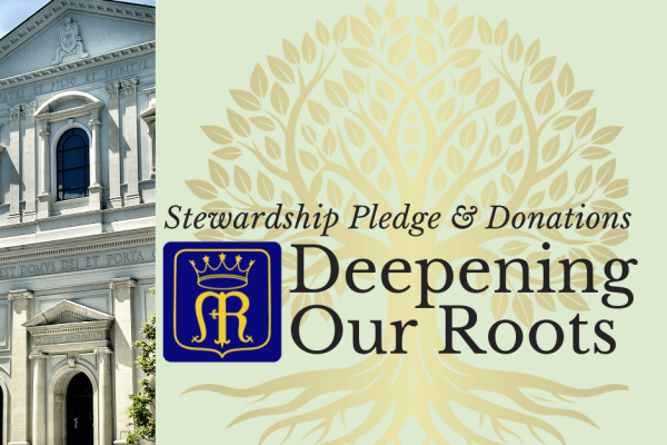 Deepening Our Roots Stewardship Campaign