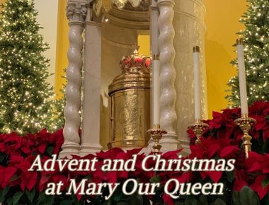 Advent and Christmas at MOQ