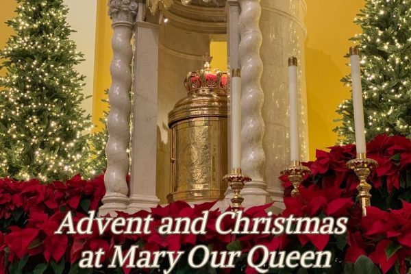 Advent and Christmas at MOQ